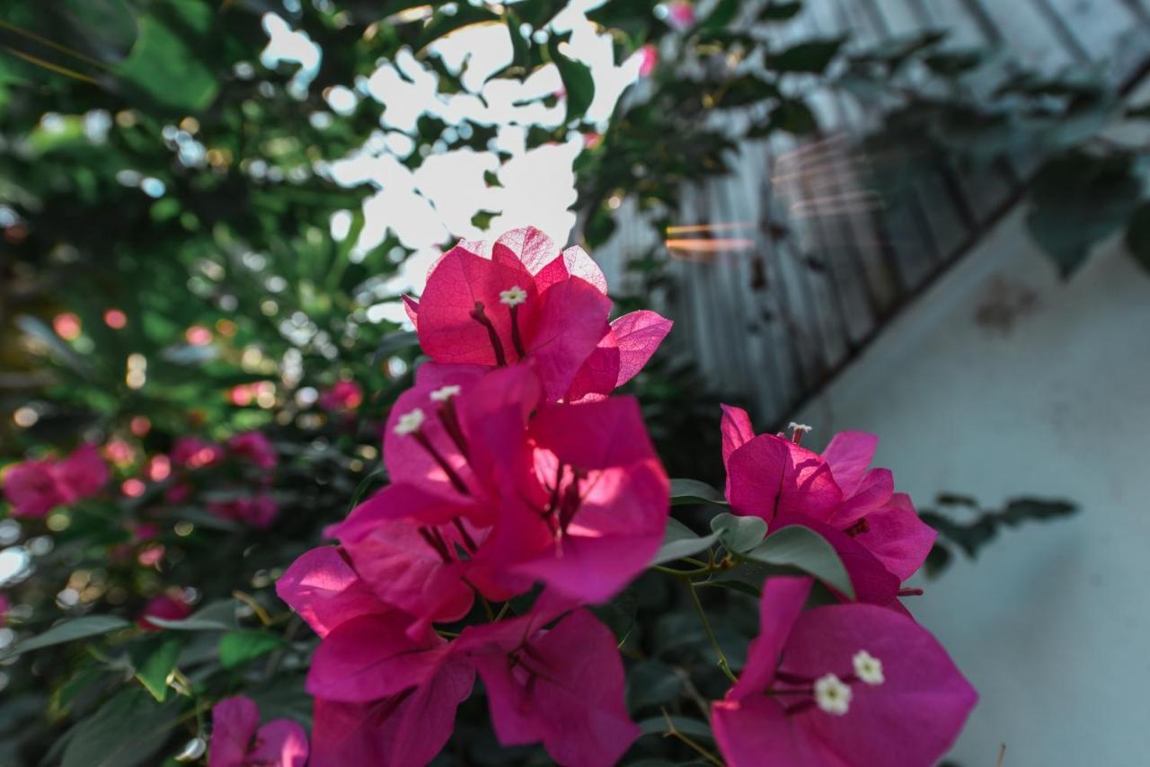 Oh Battambang Boutique Hotel Екстер'єр фото